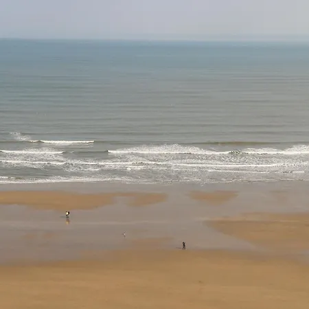 47 The Drake Forgetmeknot Scarborough