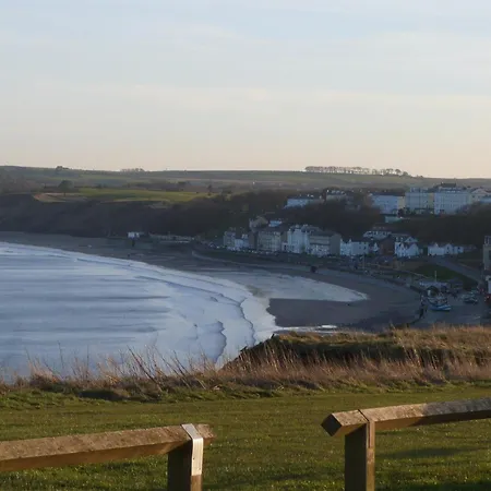 47 The Drake Forgetmeknot