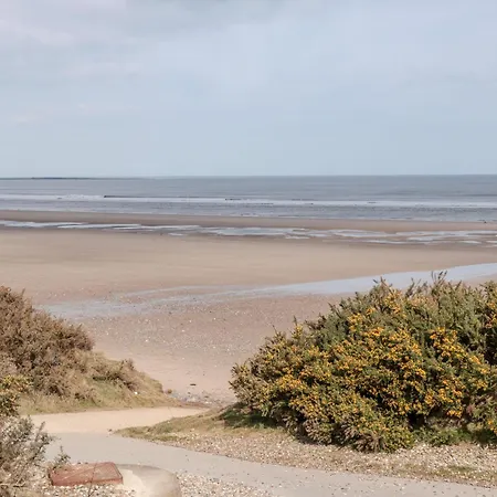 47 The Drake Forgetmeknot Dom wakacyjny *