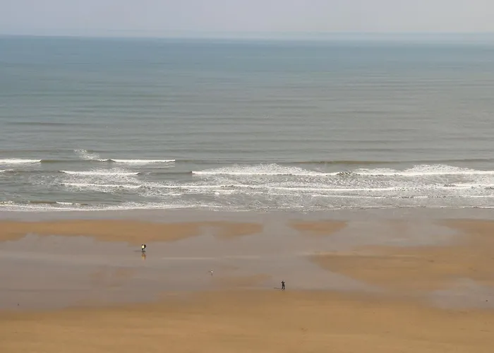 47 The Drake Forgetmeknot Scarborough