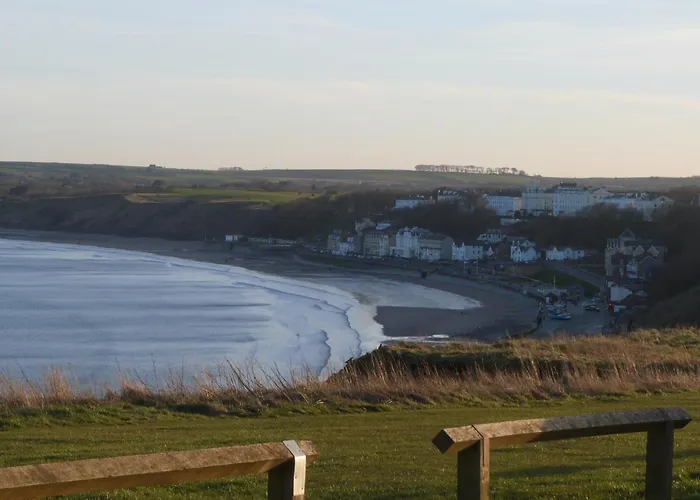 47 The Drake Forgetmeknot